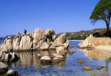 曼联后防出现失误，球队战术遭到质疑